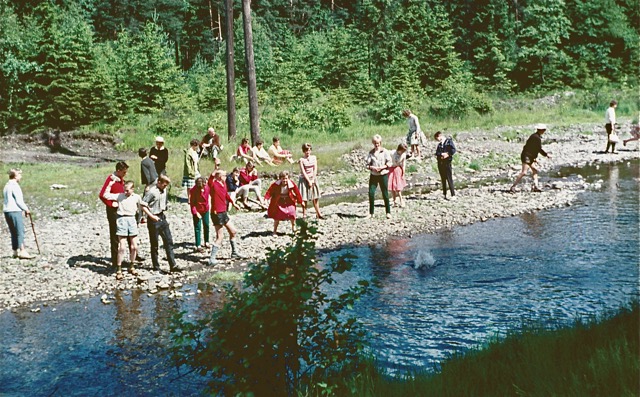 1961 Harz: An der Innerste