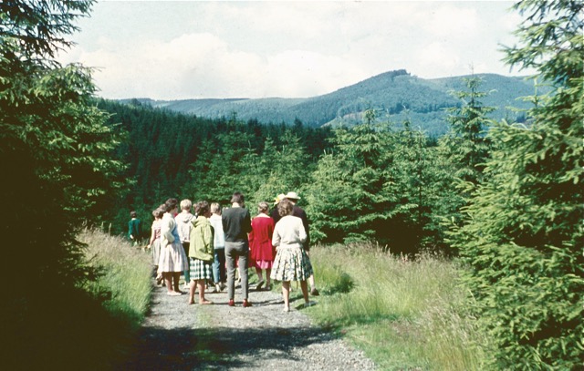 1961 Harz: Wanderung