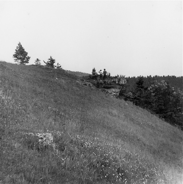 Harz, Wanderung