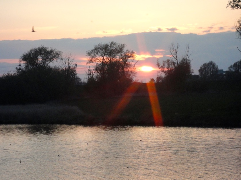 Abendstimmung an der Leda